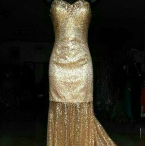 Gold Illusion Mesh Sequins Gown